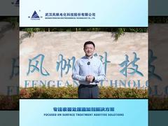 Phoenix Seal 149L Aluminum Sealing Agent